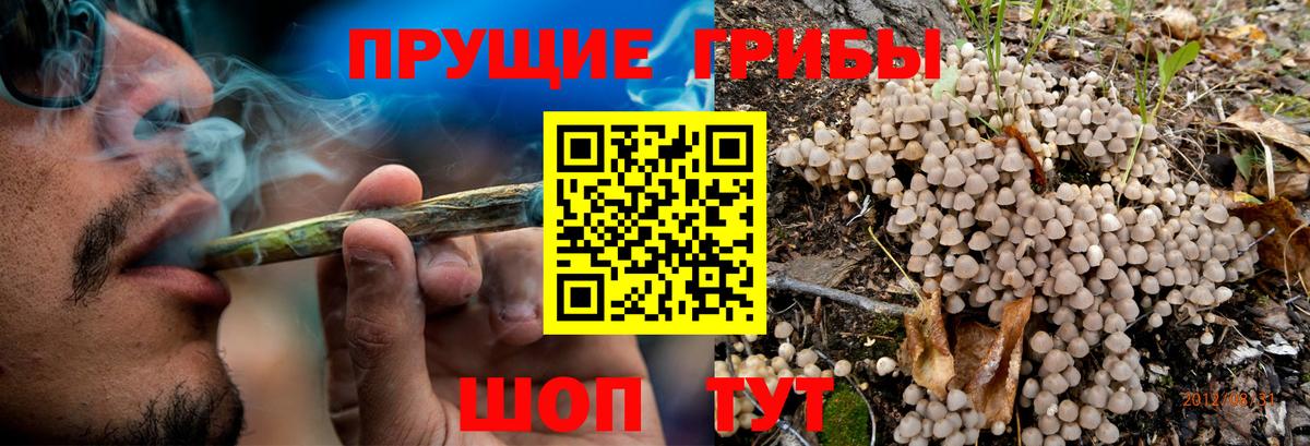 Галлюциногенные грибы Psilocybine cubensis Трёхгорный