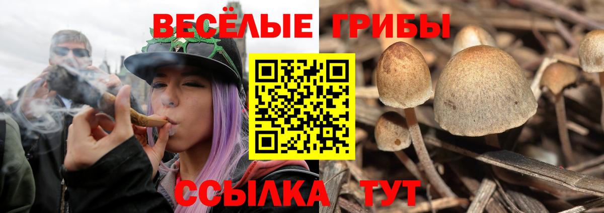 Трёхгорный  Галлюциногенные грибы мухоморы  Вход с VPN 